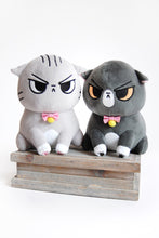Load image into Gallery viewer, Angry Cat Plush- Gray Tabby Version