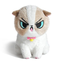 Load image into Gallery viewer, Angry Cat Plush- Ragdoll