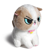 Load image into Gallery viewer, Angry Cat Plush- Ragdoll