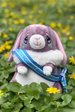 Load image into Gallery viewer, Clumsy Champ Bunny Plush