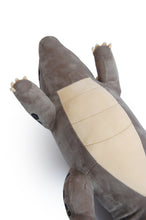 Load image into Gallery viewer, River Dragon Plush