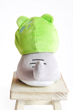 Load image into Gallery viewer, Hat for Cat- Sleepy Frog