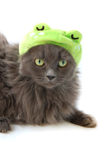 Load image into Gallery viewer, Hat for Cat- Sleepy Frog
