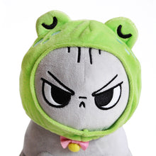 Load image into Gallery viewer, Hat for Cat- Sleepy Frog