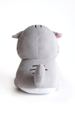 Load image into Gallery viewer, Angry Cat Plush- Gray Tabby Version