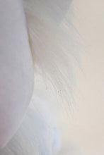 Load image into Gallery viewer, Floral Frolic B Grade Queenie Plush