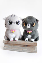Load image into Gallery viewer, Angry Cat Plush- Gray Tabby Version
