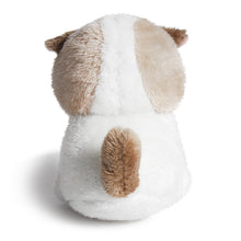 Load image into Gallery viewer, Angry Cat Plush- Ragdoll
