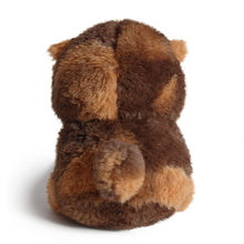 Load image into Gallery viewer, Angry Cat Plush- Tortoiseshell Tortie
