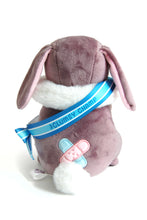 Load image into Gallery viewer, Clumsy Champ Bunny Plush
