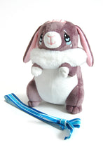 Load image into Gallery viewer, Clumsy Champ Bunny Plush
