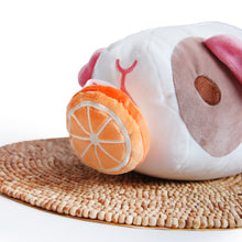 Load image into Gallery viewer, Magnetic Plush Food Accessory for Pigtato- Orange Slice

