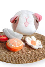 Load image into Gallery viewer, Magnetic Plush Food Accessory for Pigtato- Daisy
