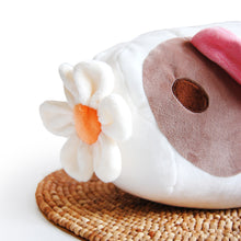 Load image into Gallery viewer, Magnetic Plush Food Accessory for Pigtato- Daisy
