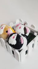 Load and play video in Gallery viewer, Pigtato Wheek Keychain Black Stripey Guinea Pig

