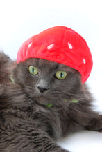 Load image into Gallery viewer, Hat for Cat- Strawberry
